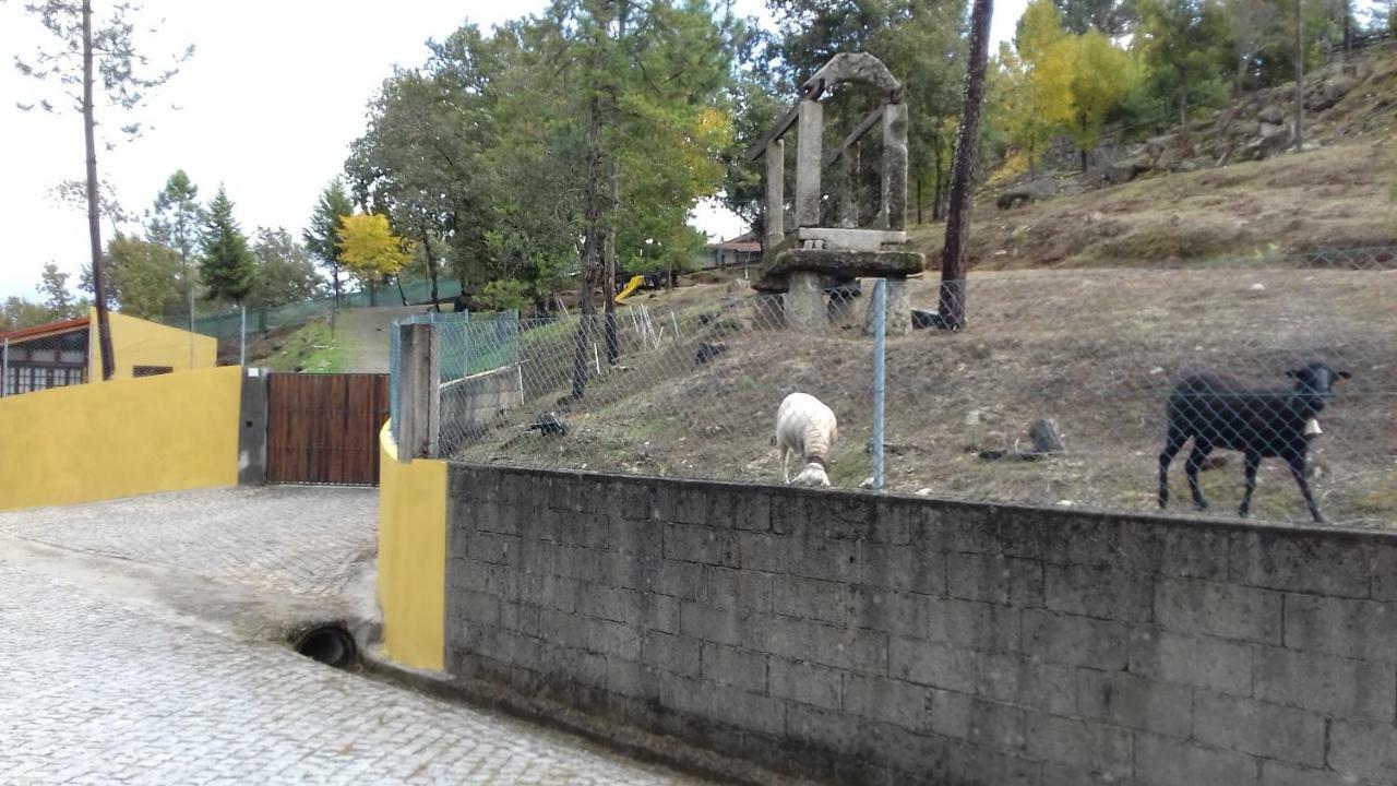 Casas De Canavezes * Marco de Canaveses
